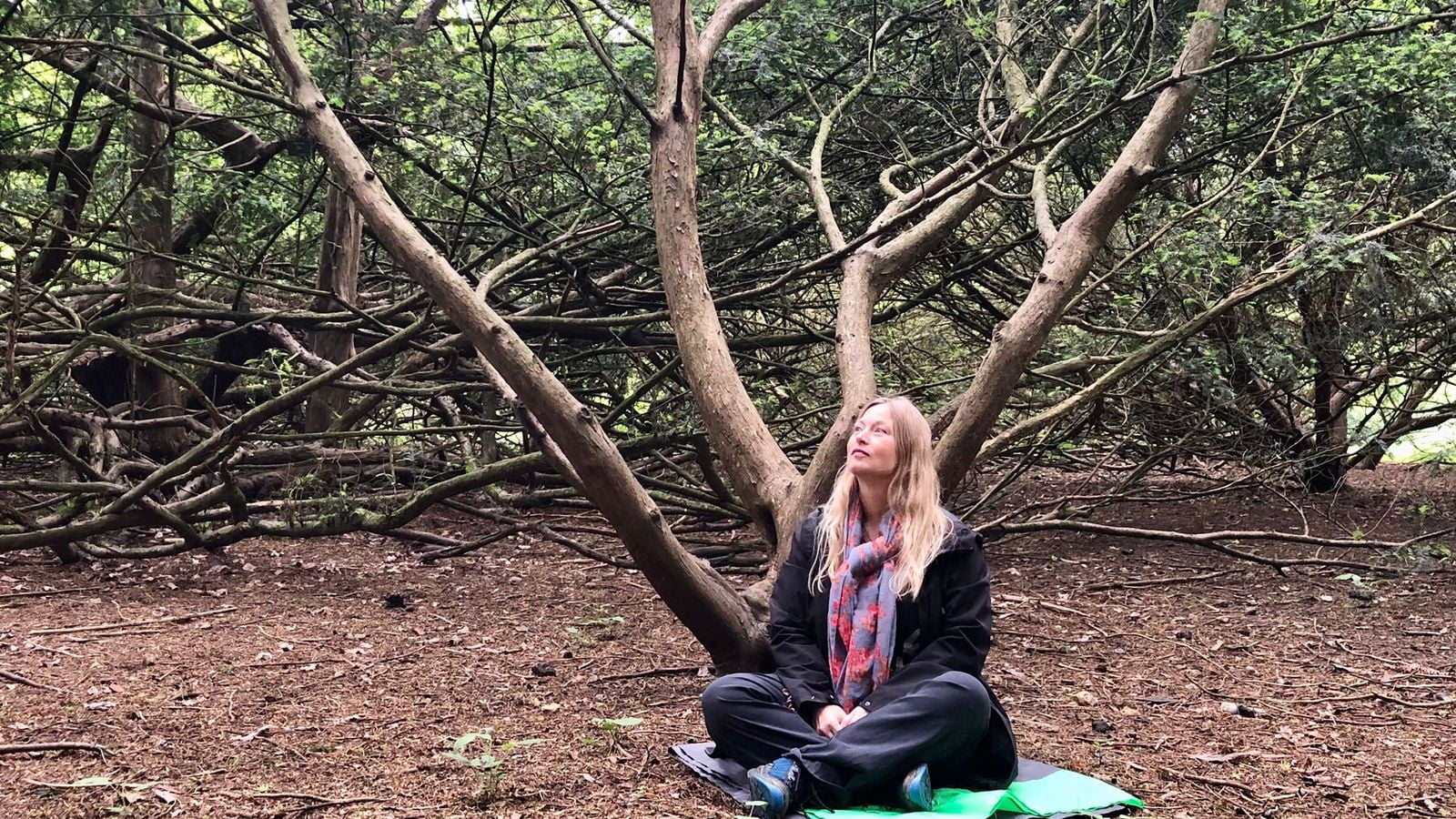 Susanne Meis, founder of Meet in Nature, forest bathing as a form of ecotherapy